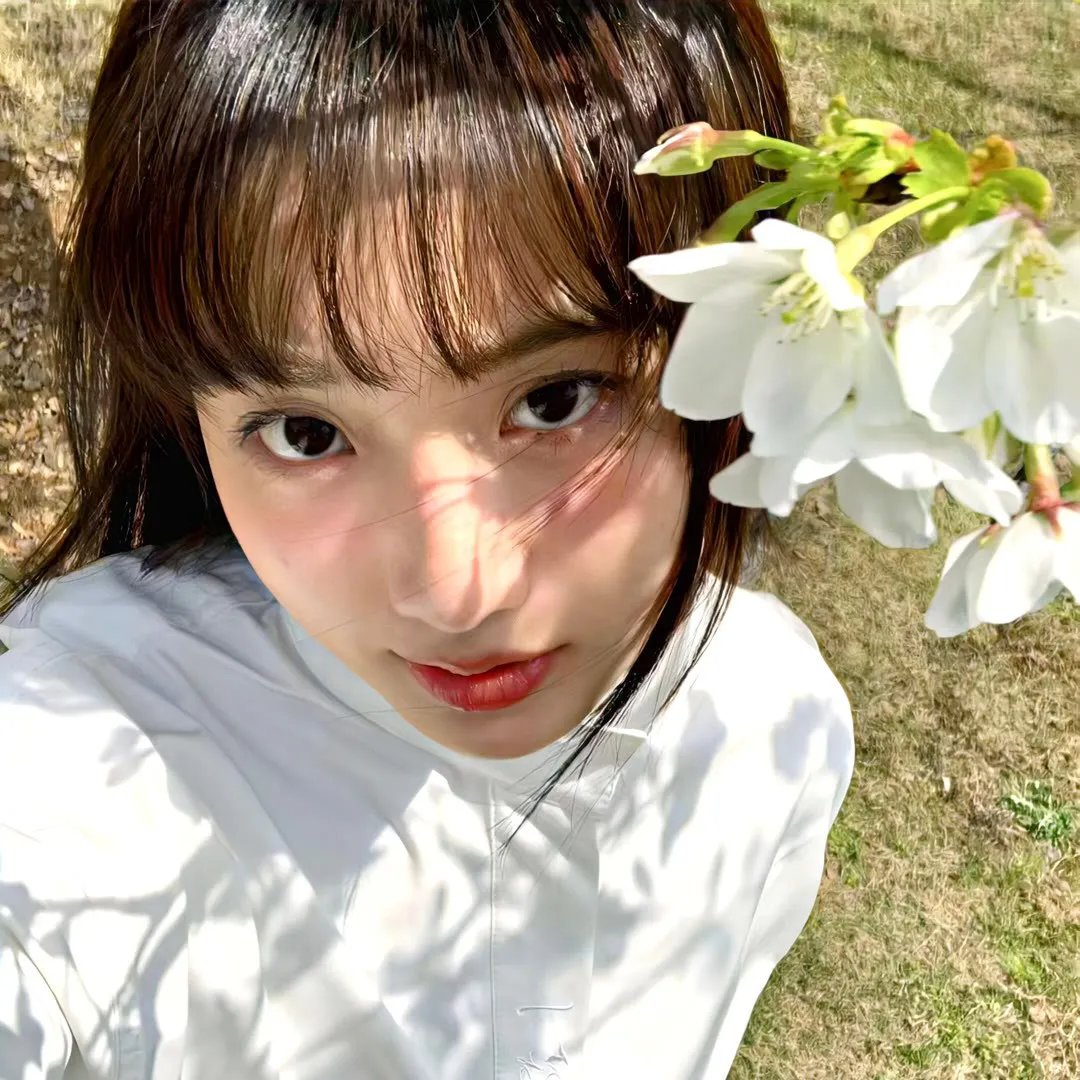 战国名花