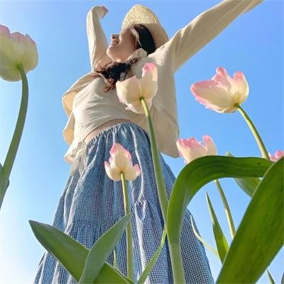 美国来的莫里斯